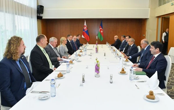 Mikayıl Cabbarov Slovakiya rəsmiləri ilə iki ölkə arasındakı əlaqələri müzakirə edib - YENİLƏNİB + FOTO