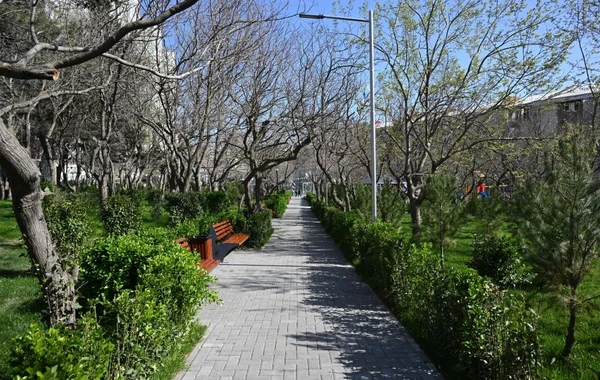 Bakıda Leyla Əliyevanın iştirakı ilə növbəti abad həyətlər sakinlərin istifadəsinə verilib - FOTO