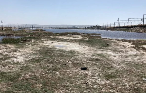 Aşağı Güzdəkdə təhlükə: “Göl zəhərli ilanlar, vəhşi heyvanlarla doludur” - FOTO