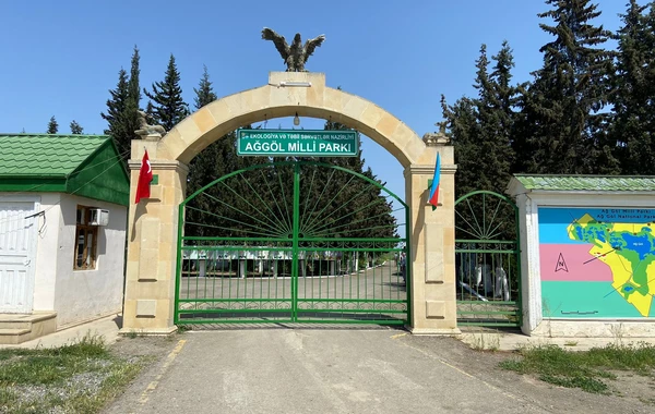 Laləli çəmənlik görmək istəyənlər, tələsin! - FOTO/VİDEO