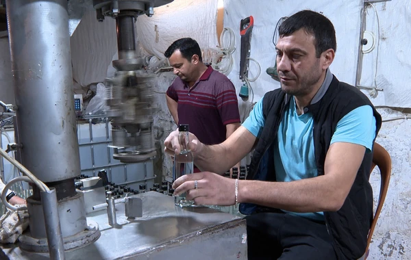 Bakıda saxta “Fairy”, “Domestos”, “Perwol” və “Prill” qablaşdıran sex aşkarlanıb - FOTO