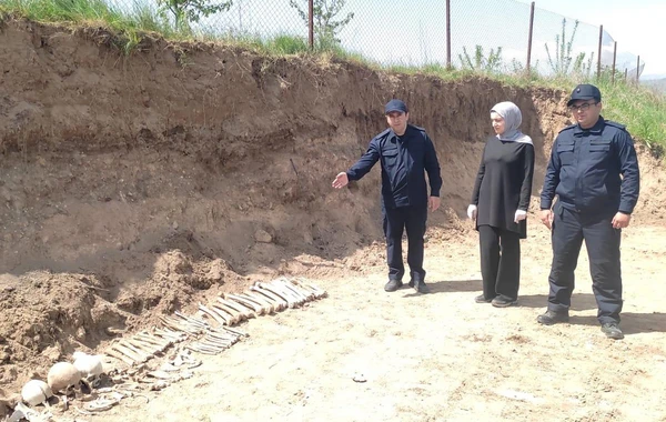 Malıbəylidə kütləvi məzarlıq aşkar edilib - YENİLƏNİB - FOTO