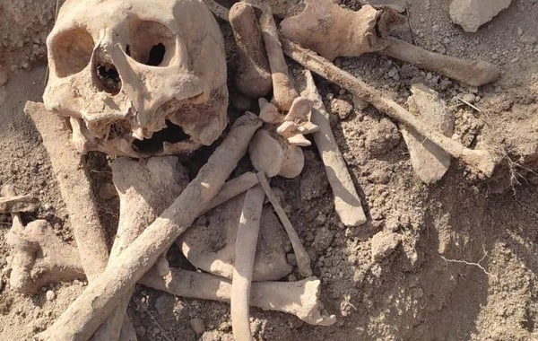 Malıbəylidə kütləvi məzarlıq aşkar edilib - YENİLƏNİB - FOTO