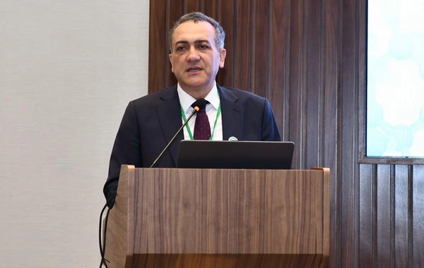ADNSU-da COP29 çərçivəsində beynəlxalq konfrans keçirilir - FOTO