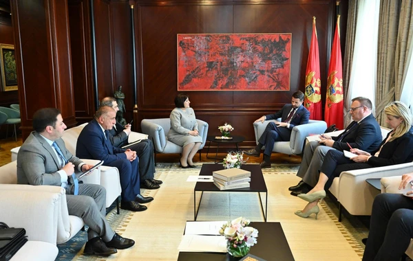 Milli Məclisin sədri Monteneqro Prezidenti ilə görüşüb, COP29-a dəvət məktubunu təqdim edib - FOTO