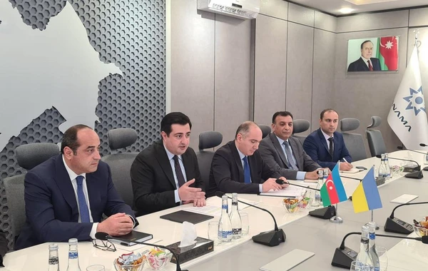 Ali Radanın sədr müavini: Ərazilərin minalardan təmizlənməsi Azərbaycanla Ukraynanı birləşdirən problemdir