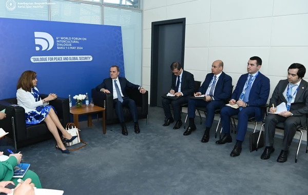 Ceyhun Bayramov UNESCO baş direktorunun köməkçisi ilə COP29-u müzakirə edib - FOTO