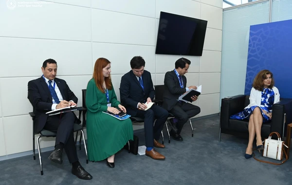 Ceyhun Bayramov UNESCO baş direktorunun köməkçisi ilə COP29-u müzakirə edib - FOTO