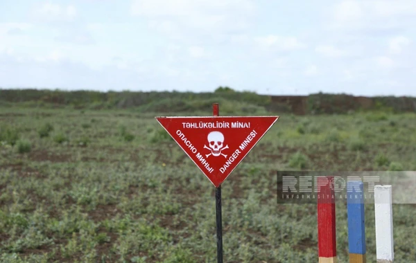 ANAMA nümayəndəsi səyahətçilərə Qarabağda aparılan minatəmizləmə işləri barədə məlumat verib - YENİLƏNİB - FOTO