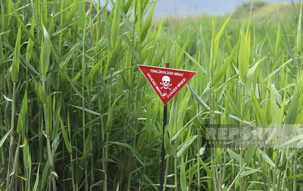 ANAMA nümayəndəsi səyahətçilərə Qarabağda aparılan minatəmizləmə işləri barədə məlumat verib - YENİLƏNİB - FOTO