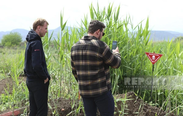 ANAMA nümayəndəsi səyahətçilərə Qarabağda aparılan minatəmizləmə işləri barədə məlumat verib - YENİLƏNİB - FOTO