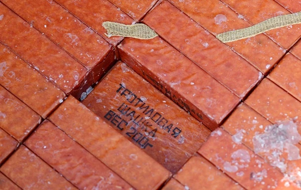 Finlandiya təcili şəkildə trotil zavodu tikmək istəyir