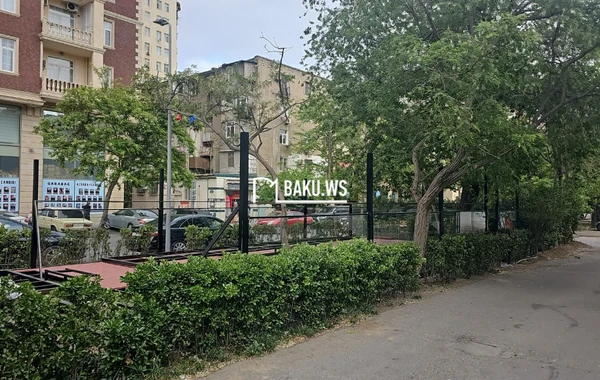 Bakıda "Tantuni" sahibi tut ağacını kəsib yerində obyekt tikmək istədi - YENİLƏNİB - FOTO