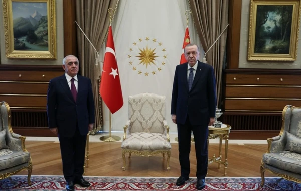 Ərdoğan Əli Əsədovu qəbul edib, ona COP-29-la bağlı rəsmi dəvət məktubu təqdim olunub - YENİLƏNİB