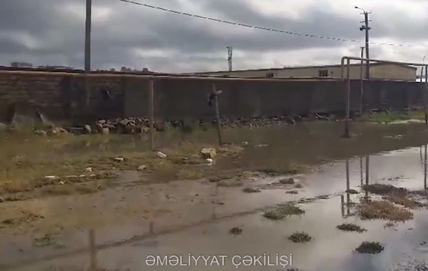 FHN: Su basmış yerlərdən suyun çəkilərək kənarlaşdırılması təmin edilib - VİDEO