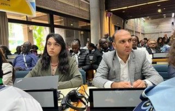BMT-nin Vətəndaş Cəmiyyəti Konfransında Azərbaycan nümayəndə heyəti iştirak edir - FOTO
