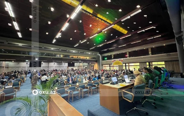 COP29-un rəsmisi BMT-nin plenar sessiyasında çıxış edib - FOTO/VİDEO