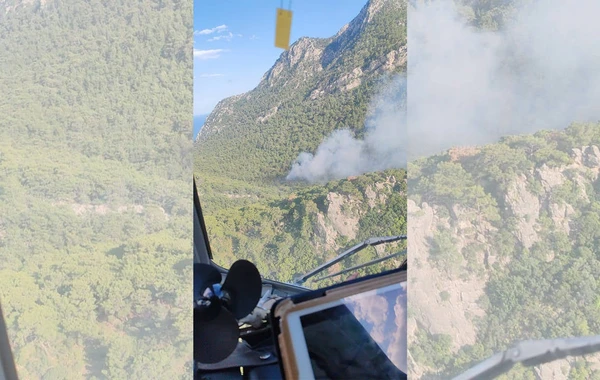 Türkiyədə meşə yanğını başlayıb