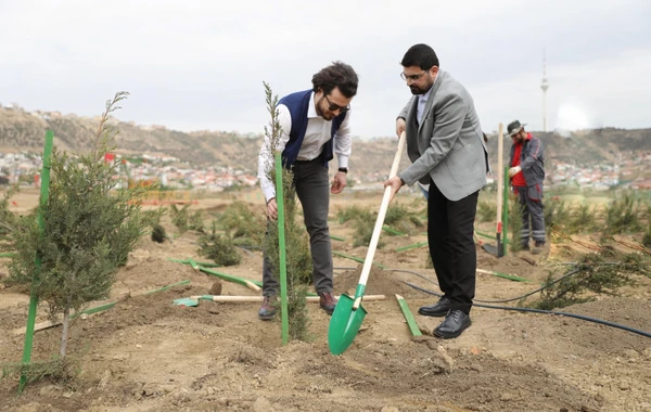 SOCAR-ın təşkilatçılığı ilə ağacəkmə aksiyası keçirilib - FOTO