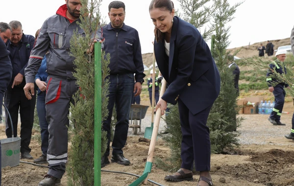 SOCAR-ın təşkilatçılığı ilə ağacəkmə aksiyası keçirilib - FOTO