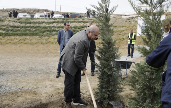 SOCAR-ın təşkilatçılığı ilə ağacəkmə aksiyası keçirilib - FOTO