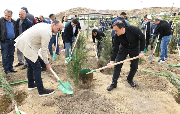 SOCAR-ın təşkilatçılığı ilə ağacəkmə aksiyası keçirilib - FOTO