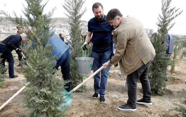SOCAR-ın təşkilatçılığı ilə ağacəkmə aksiyası keçirilib - FOTO