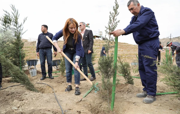 SOCAR-ın təşkilatçılığı ilə ağacəkmə aksiyası keçirilib - FOTO