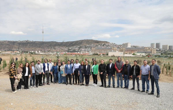 SOCAR-ın təşkilatçılığı ilə ağacəkmə aksiyası keçirilib - FOTO
