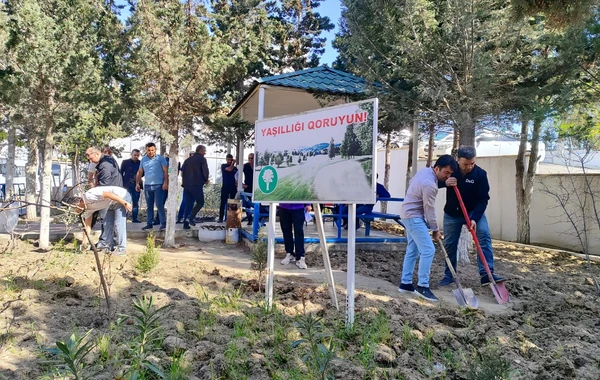 SOCAR-ın təşkilatçılığı ilə ağacəkmə aksiyası keçirilib - FOTO