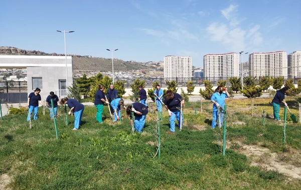 SOCAR-ın təşkilatçılığı ilə ağacəkmə aksiyası keçirilib - FOTO