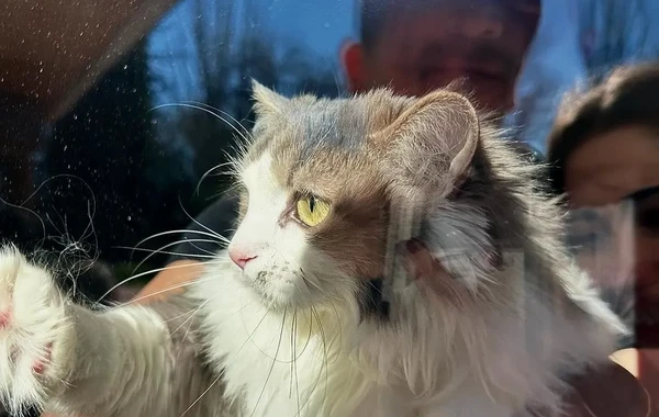 Bu da Arda Gülərin sevgilisi... - FOTO
