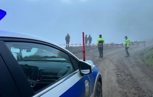 Lerikdə dağ uçqunu: Kəndə gedən yol bağlandı - FOTO