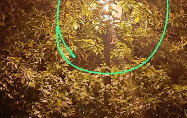 Qaraçuxurda  "Neftçilər" parkı baxımsız vəziyyətdədir - FOTO/VİDEO