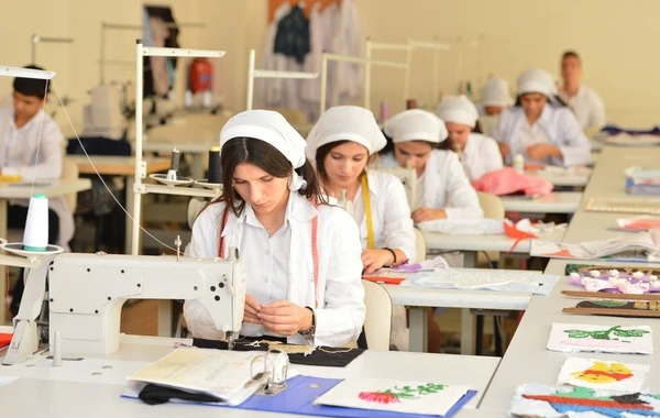 Bu il peşə təhsili müəssisələrində çalışan 10 nəfər cəzalandırılıb