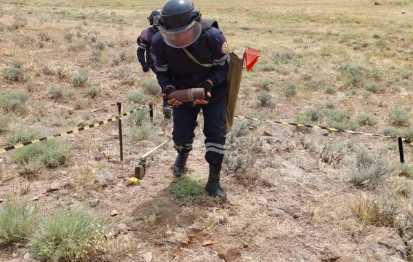 Naxçıvanda top mərmisi tapılıb - FOTO/VİDEO