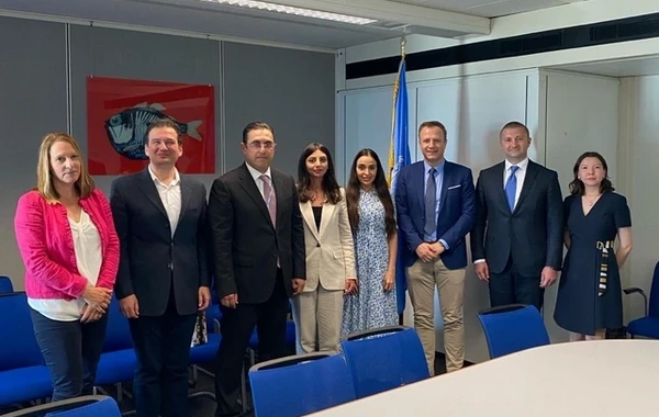 Leyla Əliyeva BMT-nin İsveçrədəki ofisində görüşlər keçirib - FOTO