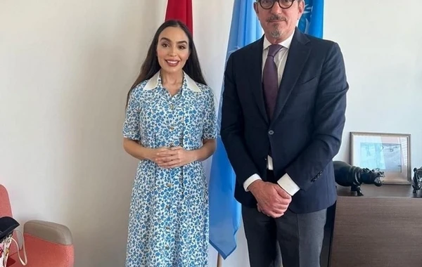 Leyla Əliyeva BMT-nin İsveçrədəki ofisində görüşlər keçirib - FOTO