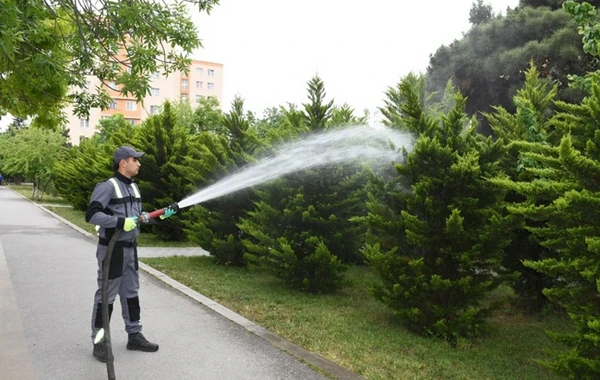 Bakıda növbəti ümumşəhər iməcliyi keçirilib - FOTO