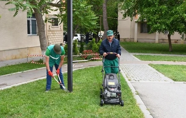 В Баку проведен очередной общегородской субботник - ФОТО