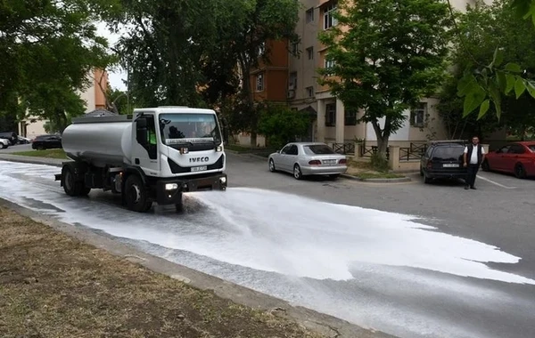 В Баку проведен очередной общегородской субботник - ФОТО