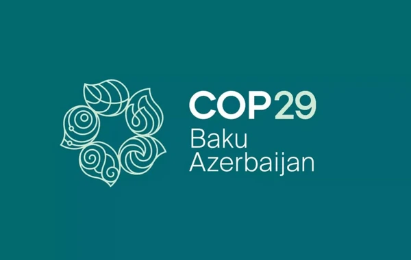 Началась регистрация волонтеров на COP29