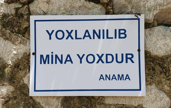 Almaniya səfiri: Şuşanın yenidənqurma proqramından təsirləndim