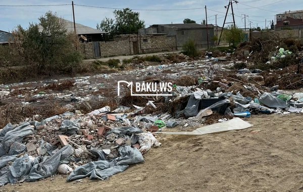 Bakının bu ərazisində insanlar zibil qoxusundan evdə otura bilmirlər - VİDEO