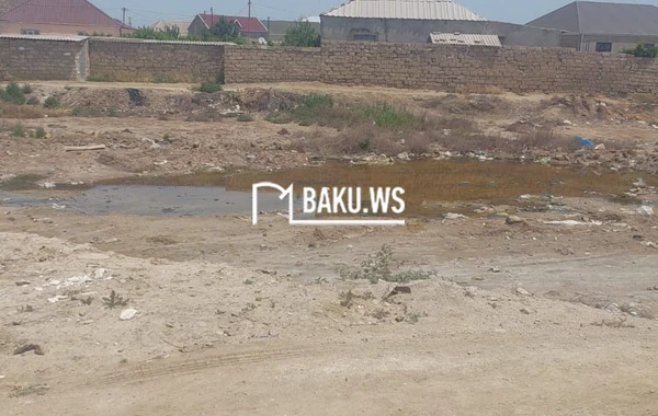 Bakının bu ərazisində insanlar zibil qoxusundan evdə otura bilmirlər - VİDEO