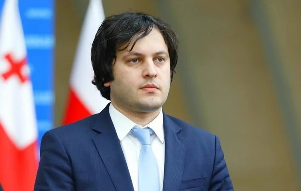 Gürcüstanın Baş naziri Qərb ölkələrini qınadı: Bu, sadəcə olaraq, həyasızlıqdır