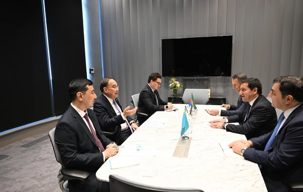 Almatıda TDT-yə üzv dövlətlərin nümayəndələri COP29 çərçivəsində təşəbbüsləri müzakirə ediblər - FOTO