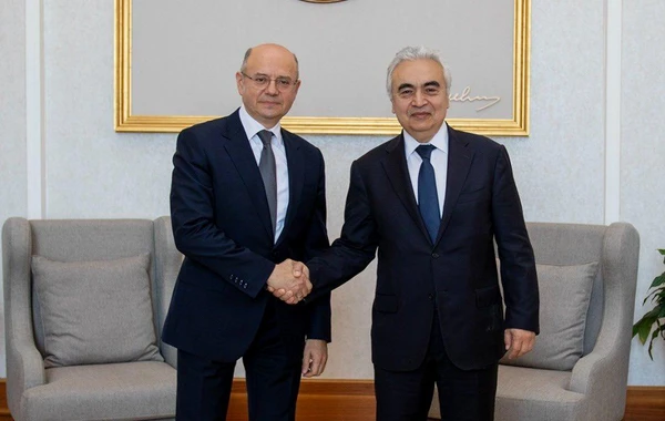 Azərbaycan IEA ilə enerji səmərəliliyi üzrə birgə fəaliyyət göstərəcək - FOTO