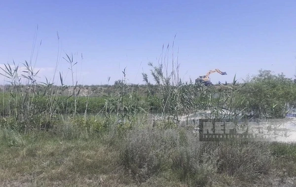 Yevlaxda Qarabağ kanalının bəndi dağılıb, sahələri su basıb - FOTO