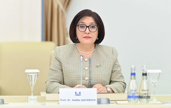 Sahibə Qafarova qırğız həmkarına regionda sülhün əldə olunması ilə bağlı atılan addımlardan danışıb - FOTO